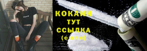 твердый Заводоуковск
