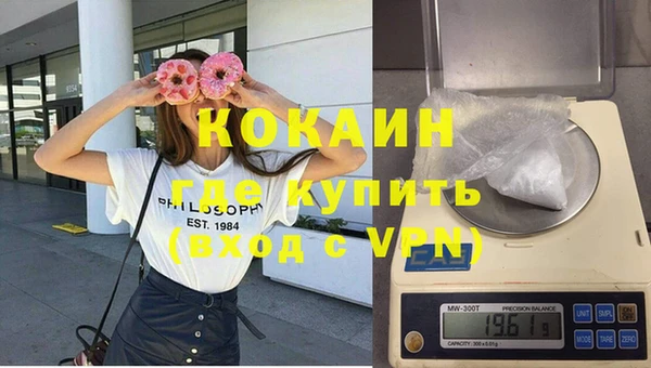 твердый Заводоуковск