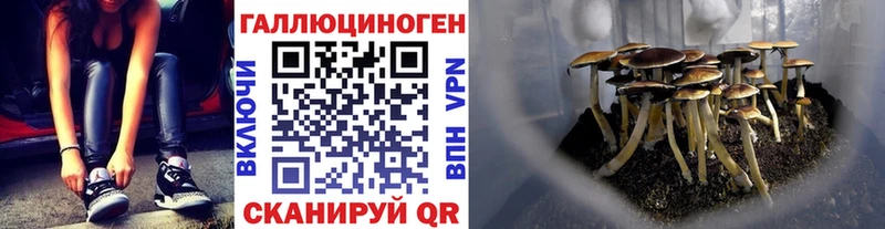 Псилоцибиновые грибы мицелий  Заволжье 